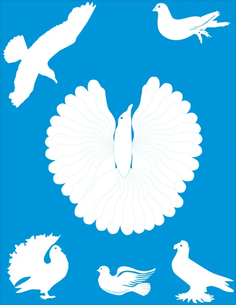 Белые голуби на голубом — стоковый вектор