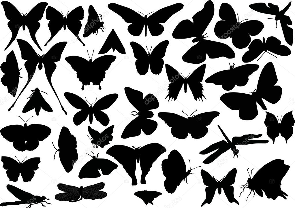 butterfly and dragonfly silhouettes
