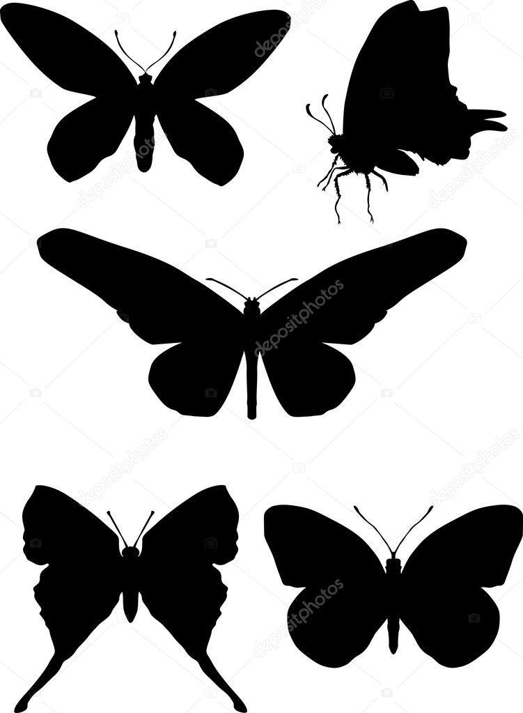 five butterfly silhouettes set