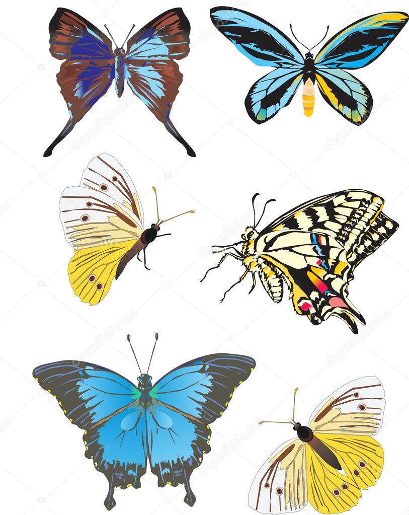 six yellow and blue butterflies