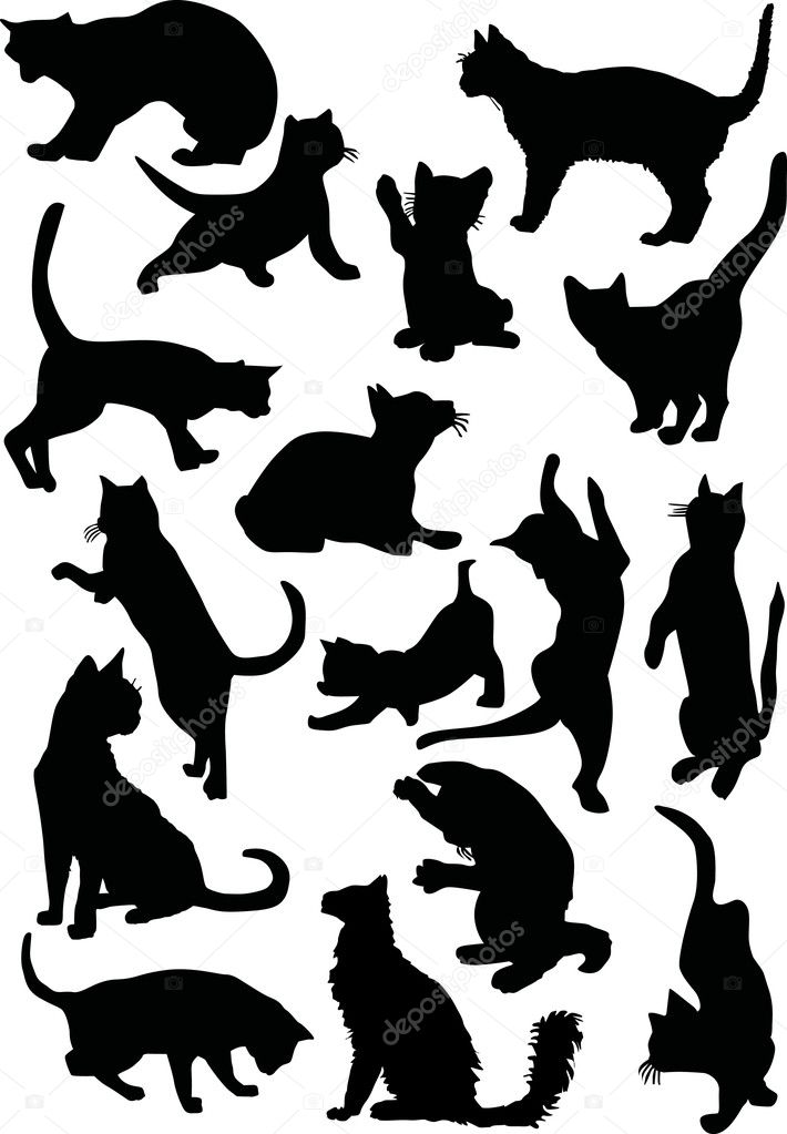sixteen cat silhouettes