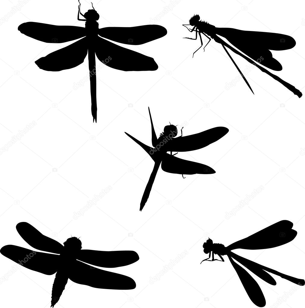 five dragonfly silhouettes