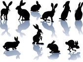 Kaninchensilhouetten mit Spiegelungen