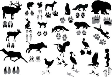 set of animals and its tracks clipart