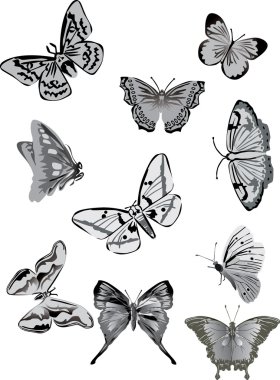 ten gray butterflies collection clipart