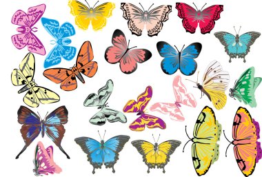 twenty one color butterflies clipart