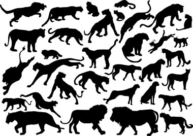 thirty three Felidae silhouettes clipart