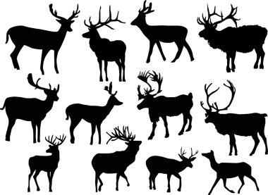 twelve isolated deers clipart