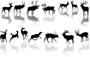 fourteen deers with reflections clipart