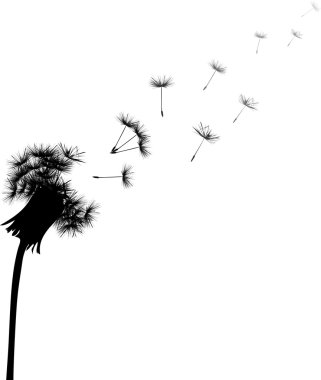 single black dandelion clipart