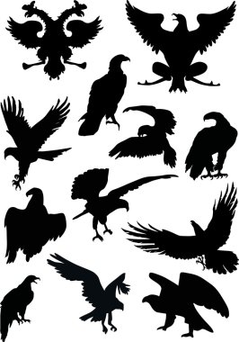 twelve eagle silhouettes clipart