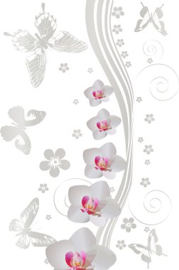 light five butterflies and orchids on white clipart