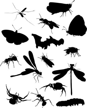 set of fifteen insects clipart