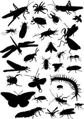 different insects set clipart