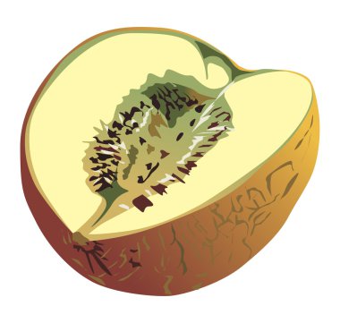 yellow melon clipart