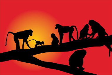 monkey famaly silhouette at sunset clipart