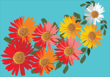 red and white flowers on blue clipart