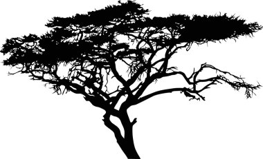 savanna tree clipart