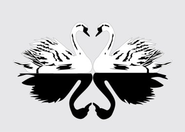 swan couple clipart