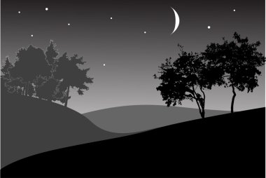Ağaçların altında gece gökyüzünde yıldızlar ile
