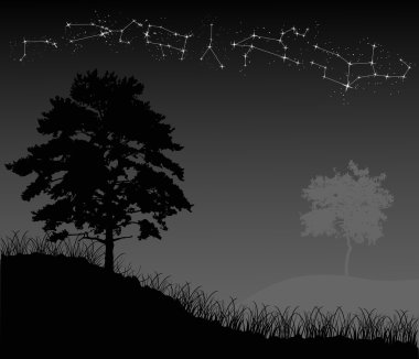 gece ağaçlar ve takımyıldızlar