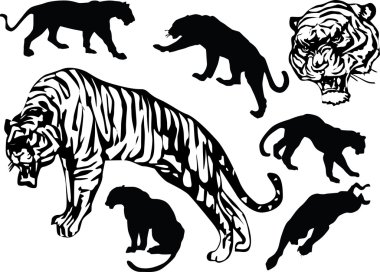 collection of tigers clipart