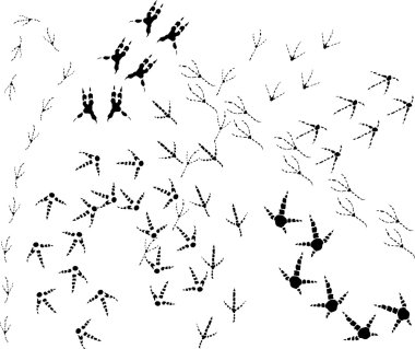 birds tracks background clipart