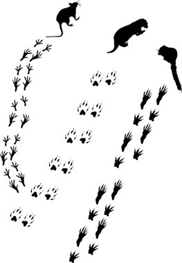 three animals and tracks clipart