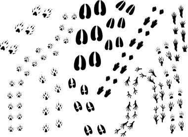 background with animal track clipart