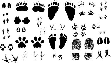 large set of different tracks clipart