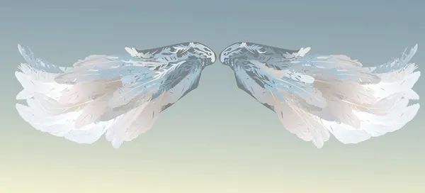 Grey wings pair — Stock Vector
