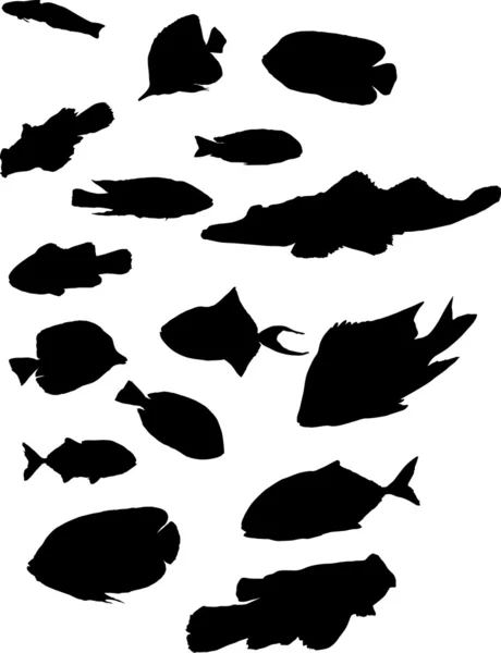 Sixteen exotic fish silhouettes — Stock Vector