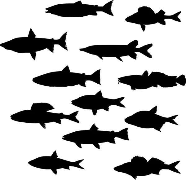 12 匹の魚のシルエット — ストックベクタ
