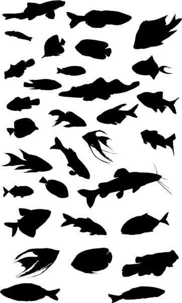 Trettiotvå fisk samling — Stock vektor