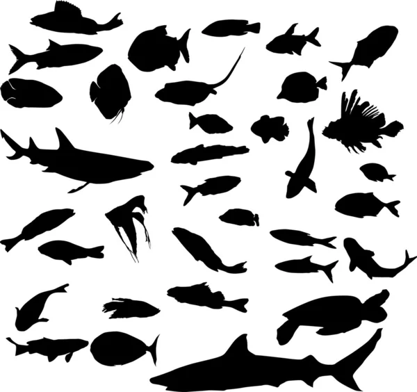 Vissen, haaien en schildpadden — Stockvector