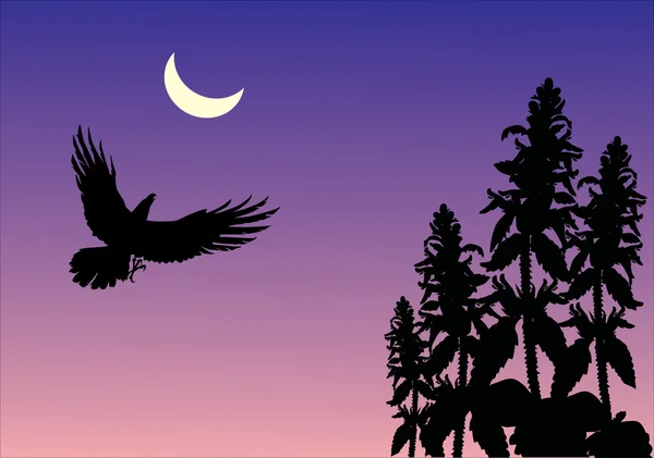 Night scene with flying bird — Stock Vector