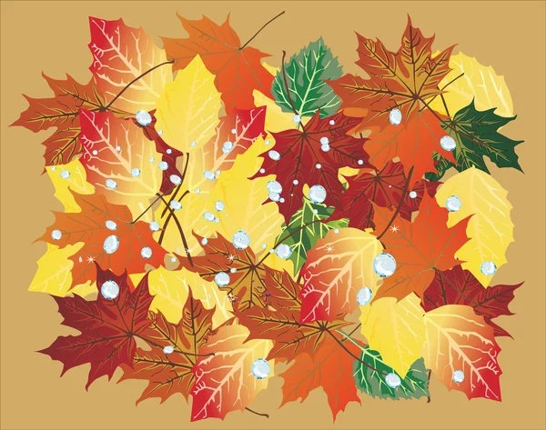 Fall foliage background with drops — Stock Vector