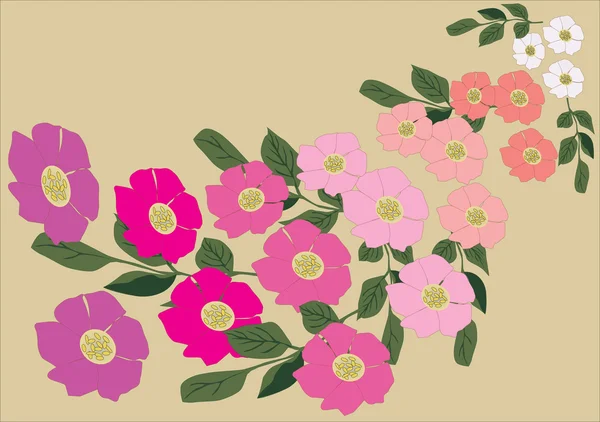 野ばら花の背景 — ストックベクタ