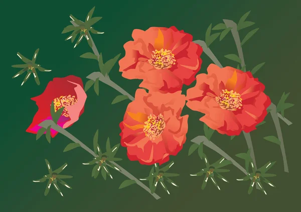 Vier rote Blumen Illustration — Stockvektor