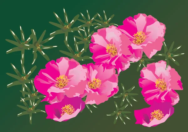 Seven pink flowers illustration — Stock Vector
