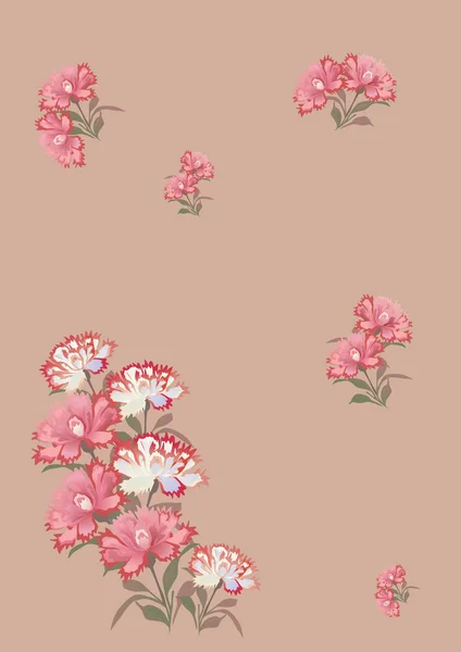 Pink carnations illustration — Stock Vector