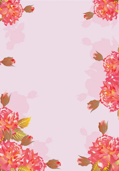 Rode rozen op roze achtergrond — Stockvector
