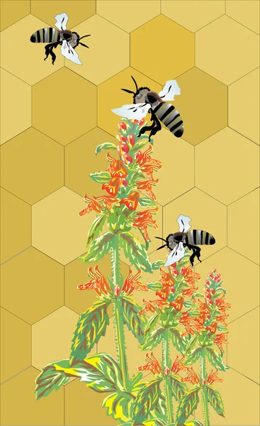 Kolme mehiläistä ja kukkia — vektorikuva