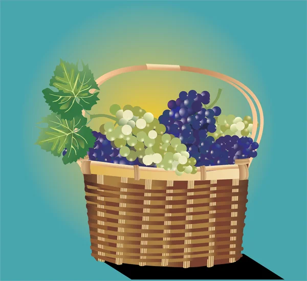 Full basket of grapes illustration — Stock Vector