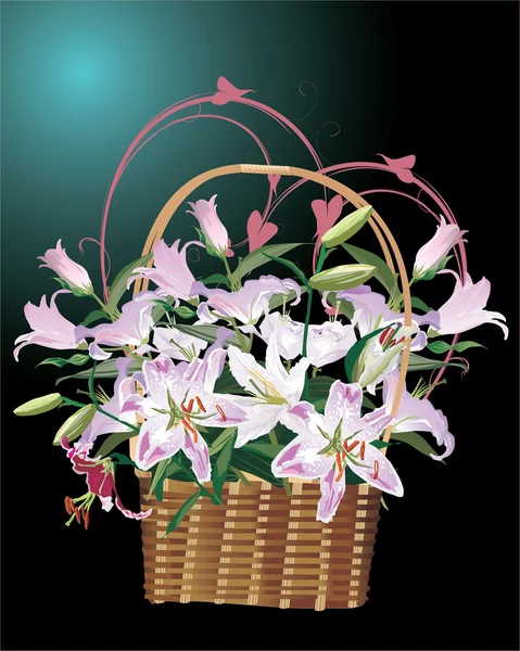 Full basket of lily flowers illustration — Stock Vector