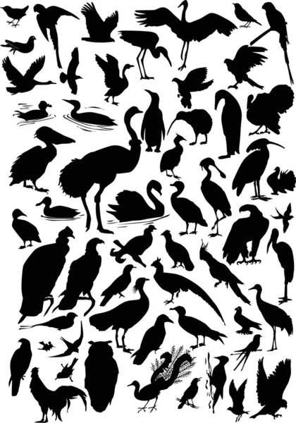 Пятьдесят семь силуэтов птиц — стоковый вектор