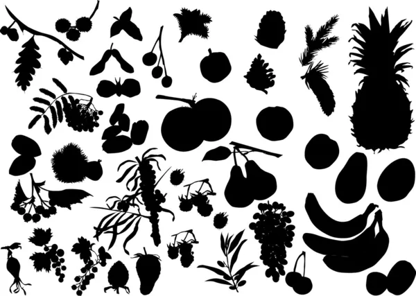 Silhouettes de fruits ensemble — Image vectorielle