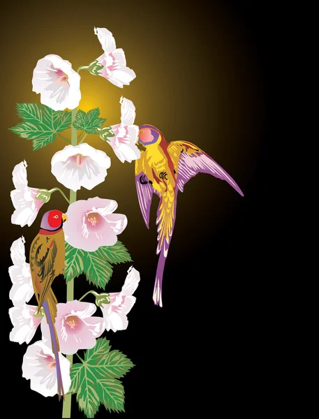 光の花と 2 羽の鳥 — ストックベクタ
