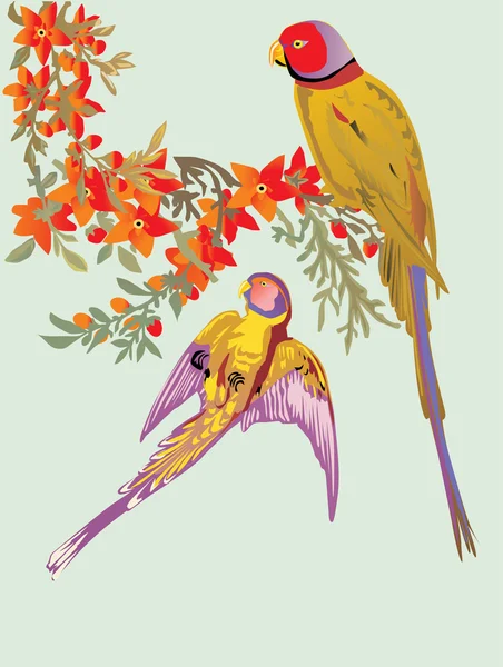 Två papegojor och blommor — Stock vektor