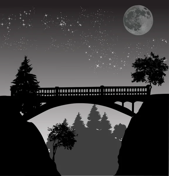Pont de nuit sous pleine lune — Image vectorielle